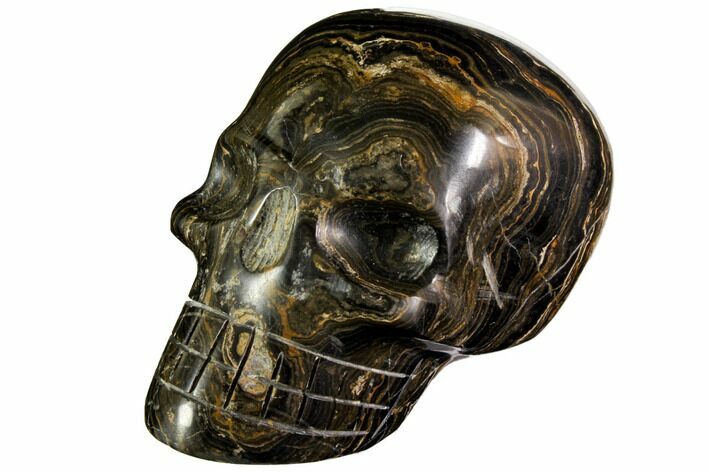 Polished Stromatolite (Greysonia) Skull - Bolivia #113538
